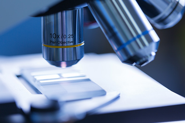 前立腺針生検の説明